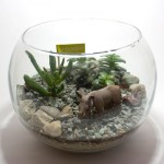 Terrario con rinoceronte en paisaje desértico