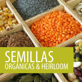 Semillas Huerto Urbano Semillas De Hortalizas - 12 Variedades De Hortalizas Antiguas De Alta Germinación - Casi Olvidadas Y Deliciosas - Set De Semillas Para Principiantes Kit Semillas Huerto