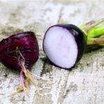 Semillas de Rabanito morado para brotes