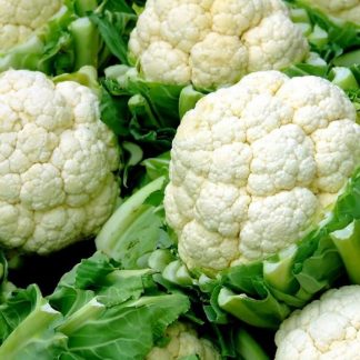 semillas de coliflor montalva