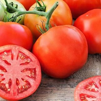 Semillas de Tomate Cal Ace
