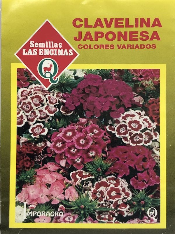 Semillas de clavelina japonesa variada - Las Encinas - semillas clavelina