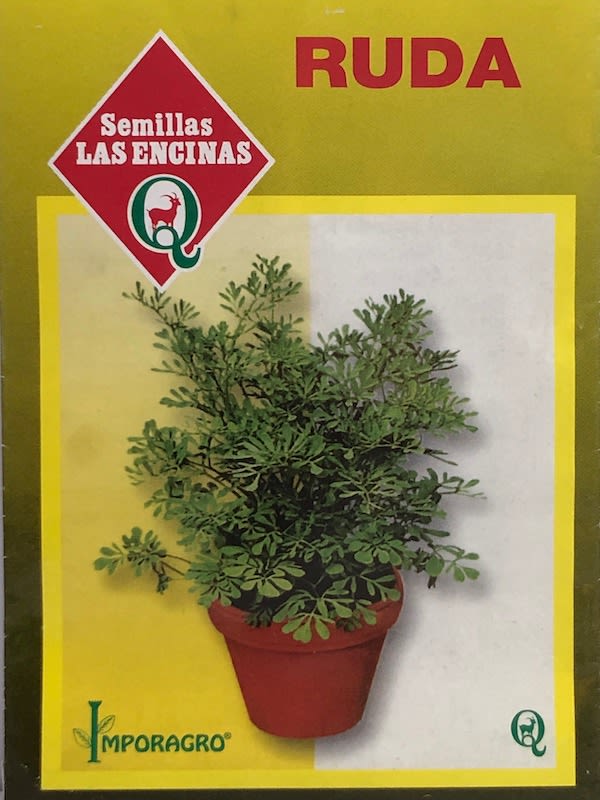 Fresh Rue Seeds (Ruda Fresca) – 2025 Harvest – Herb Seeds For Planting