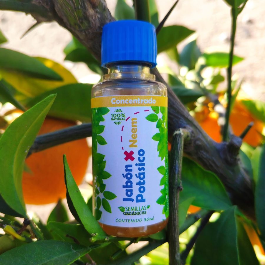 Jabón Potásico más aceite de neem / concentrado - Semillas Libres de  químicos, orgánicas certificadas y semillas raras para huertos