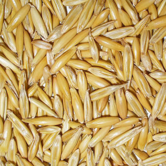 Semillas de Avena