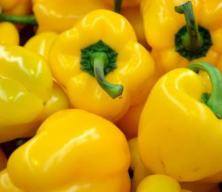 Semillas de pimentón amarillo