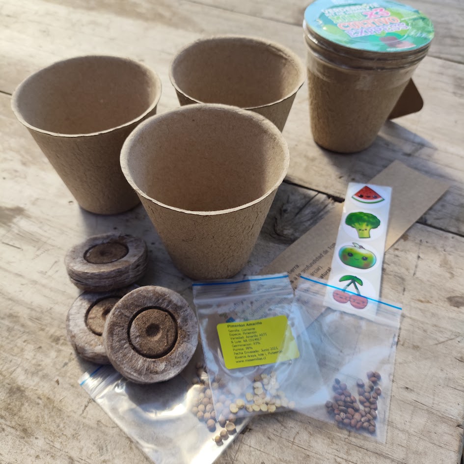 Kit de siembra Mini x3 cultivo express