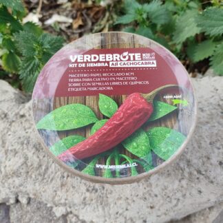 Kit de siembra POT Ají cacho cabra