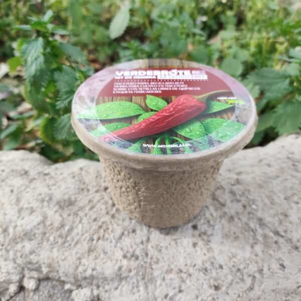 Kit de siembra POT Ají cacho cabra KIT DE CULTIVO DIA DEL NIÑO - Imagen 2